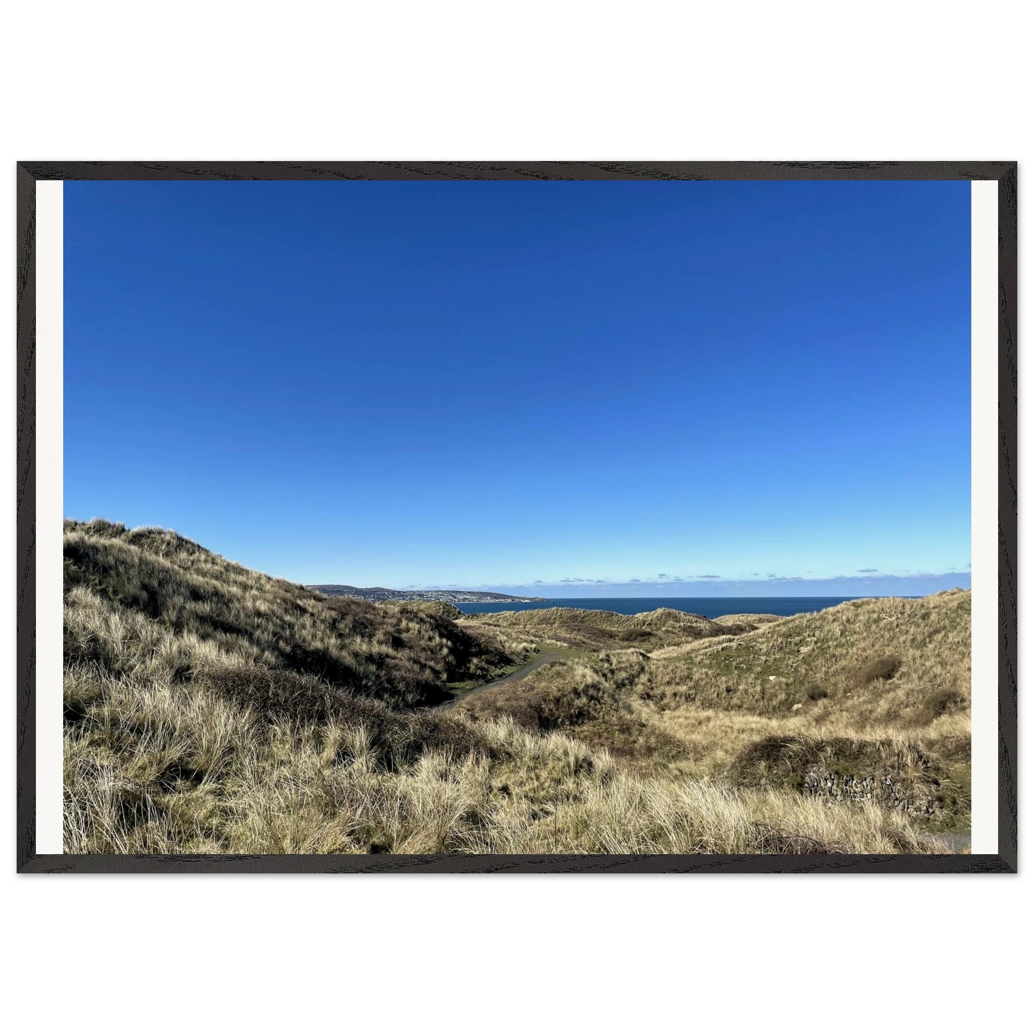 3336b77e-2b10-4f1a-ad1f-e23c5ca2b2f5