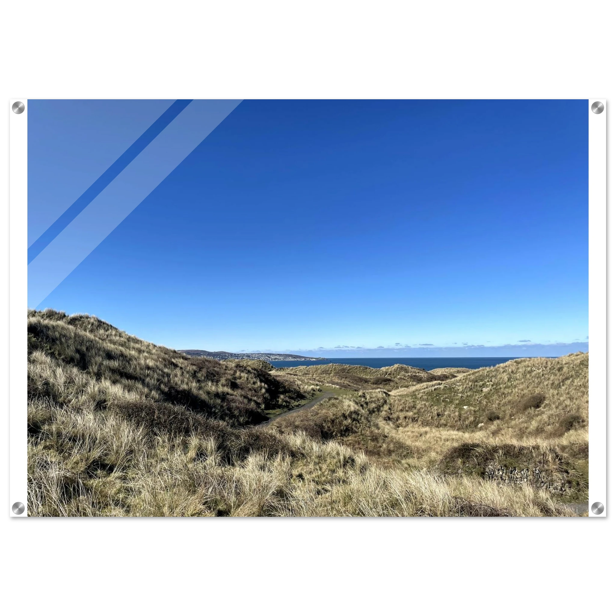 cb13aeca-6a96-4059-8b03-8551362f2608