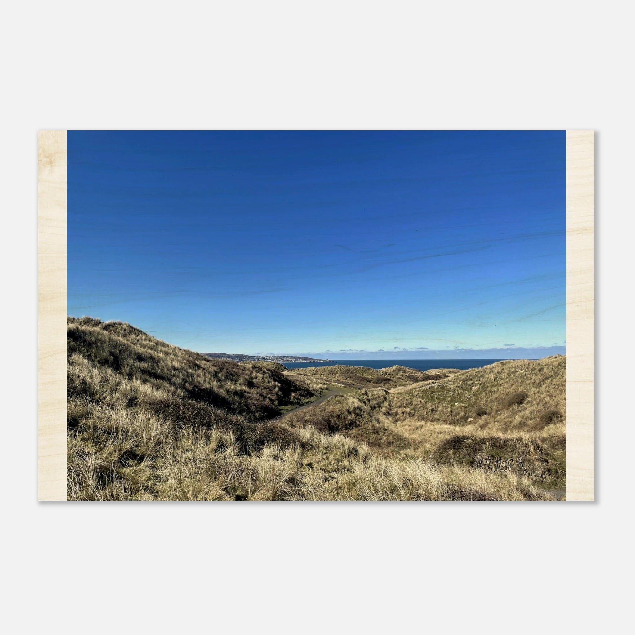 14607118-c035-4fe4-ab67-a88ded0d89ea