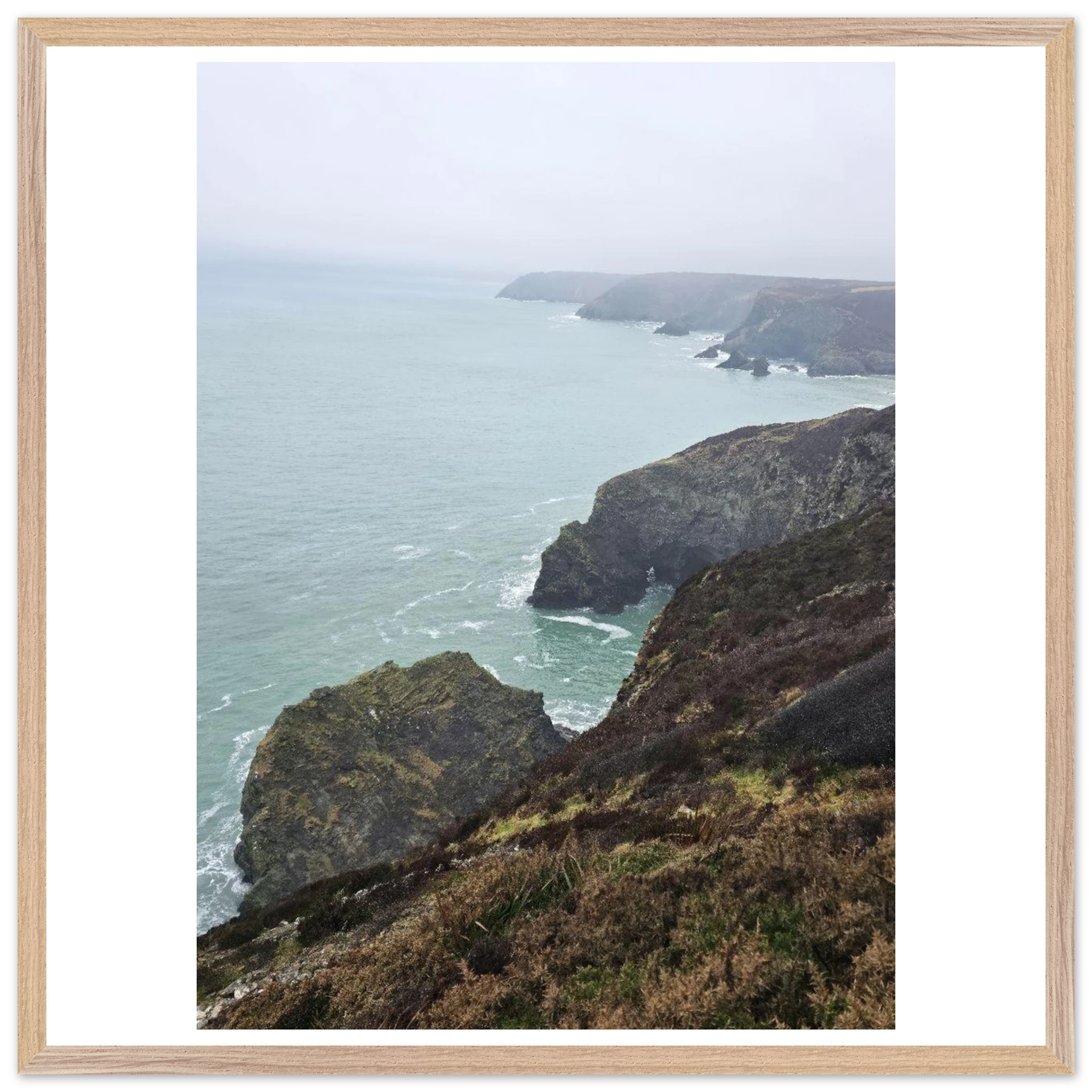 26b451a9-44c9-419c-9053-d47ad95434e1