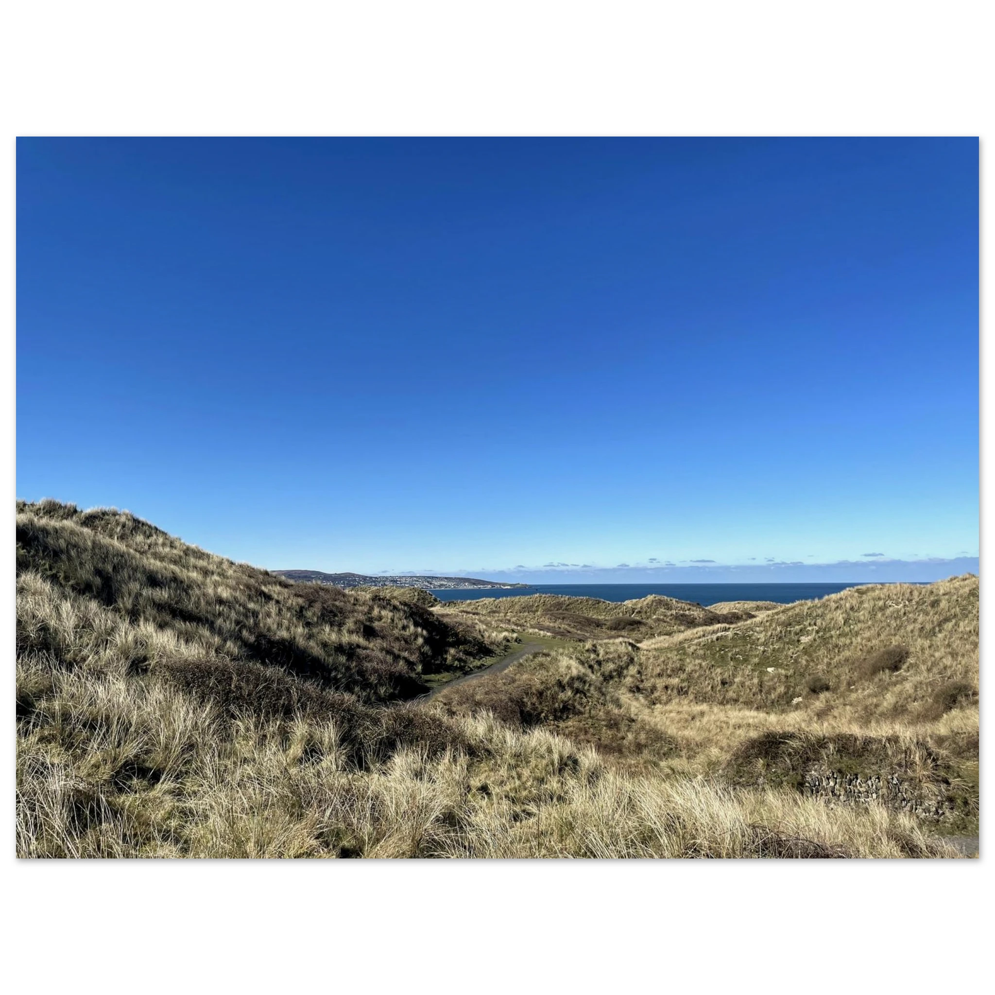 28bc08b9-b3bd-47e6-9915-55dbb1096b6b