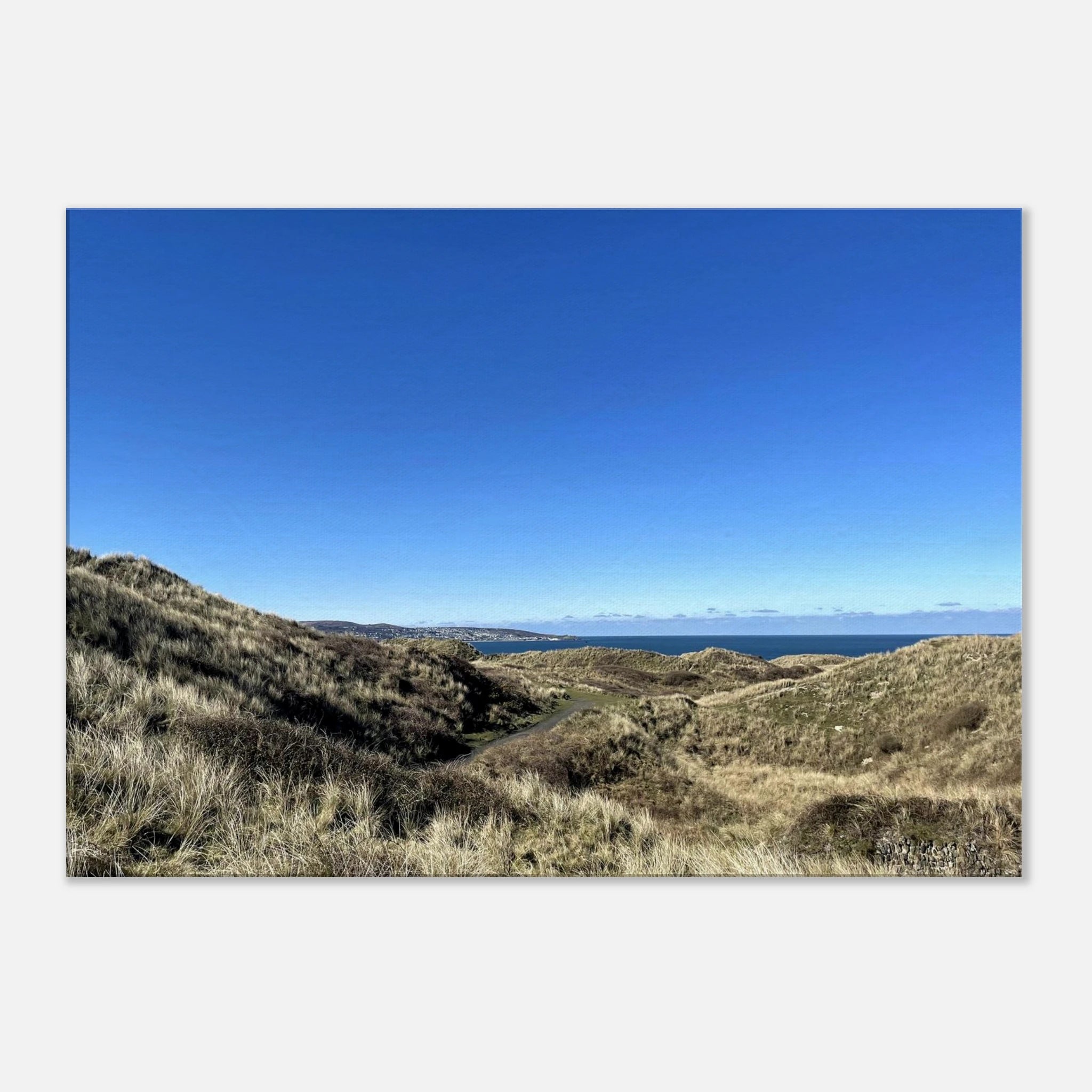 29027ce2-4f69-4447-a052-d22b9dac8c91