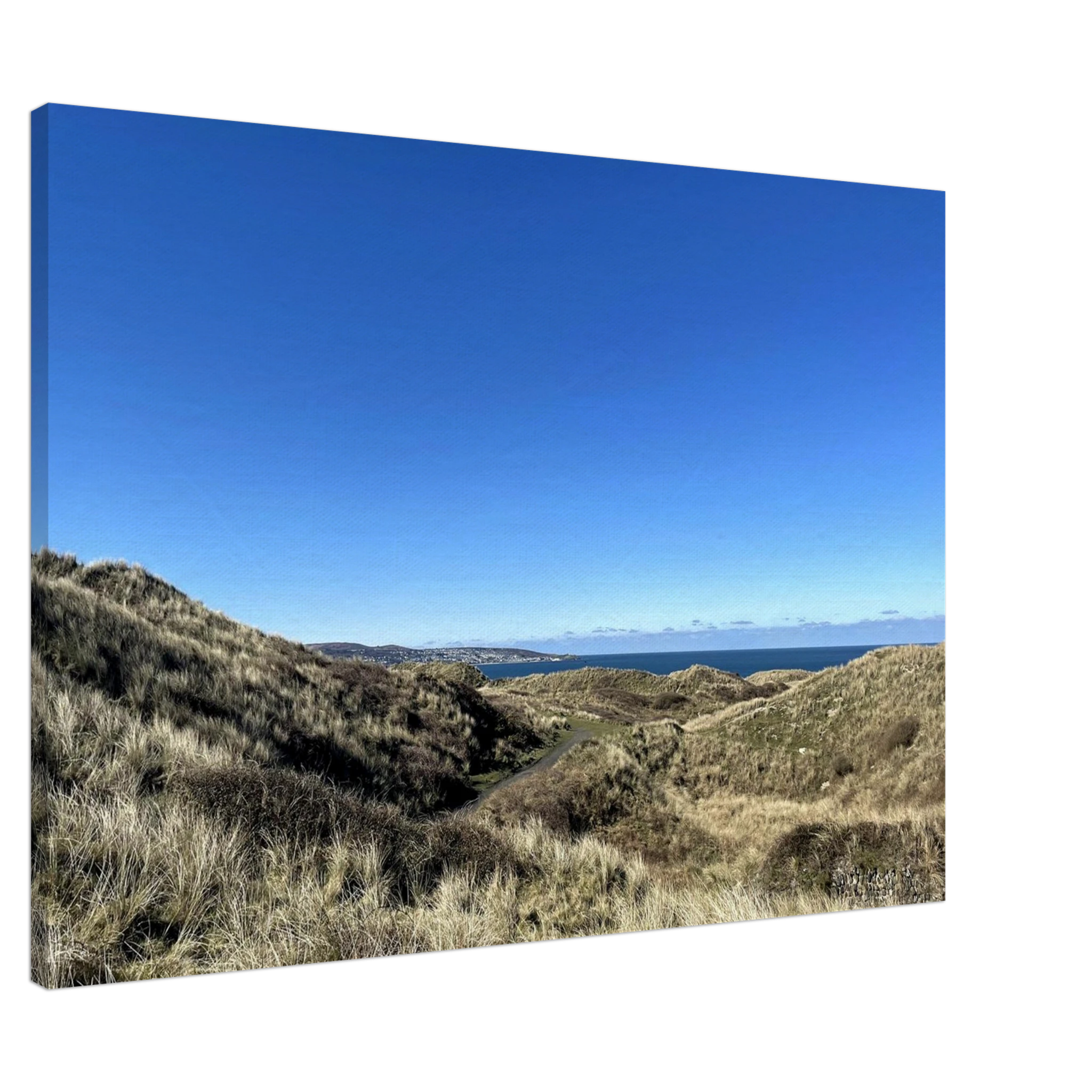 302861c5-add0-4664-a3ea-410c2772edfa