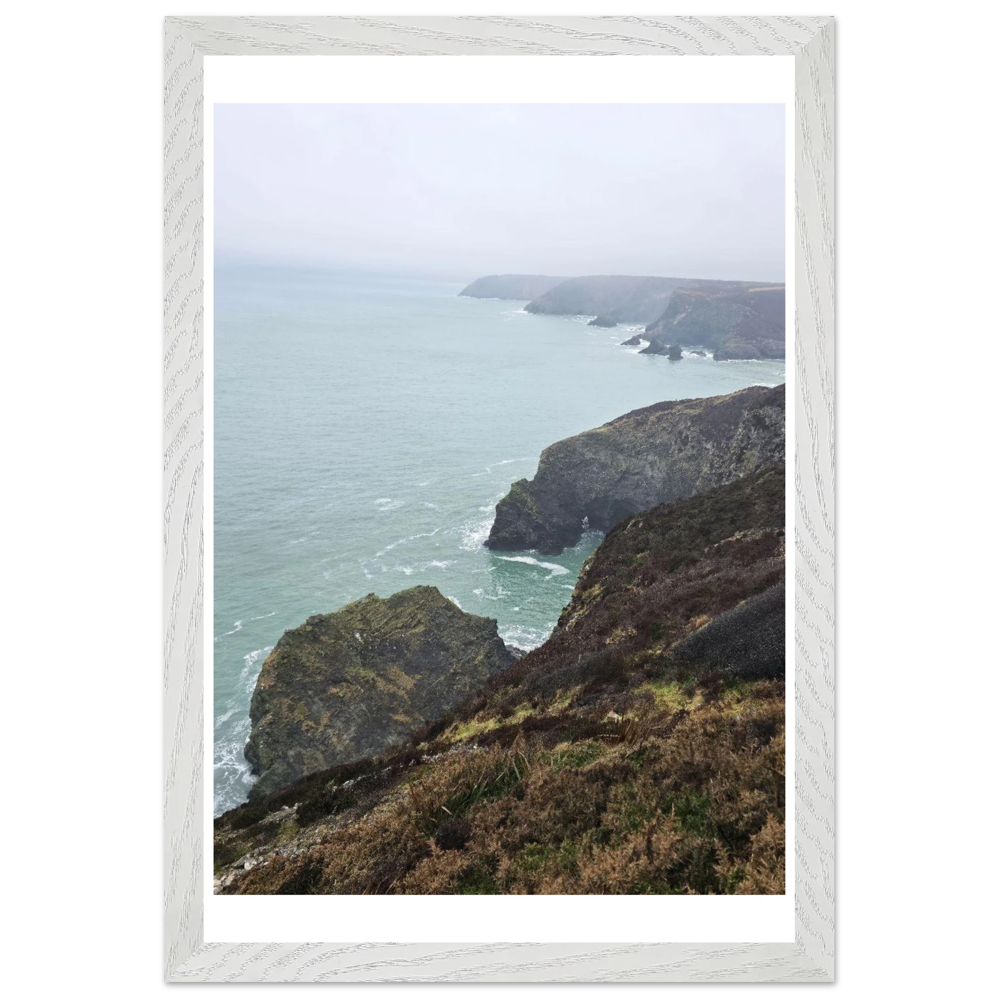 3169c699-0356-44cf-aa7a-a4f2304e5514