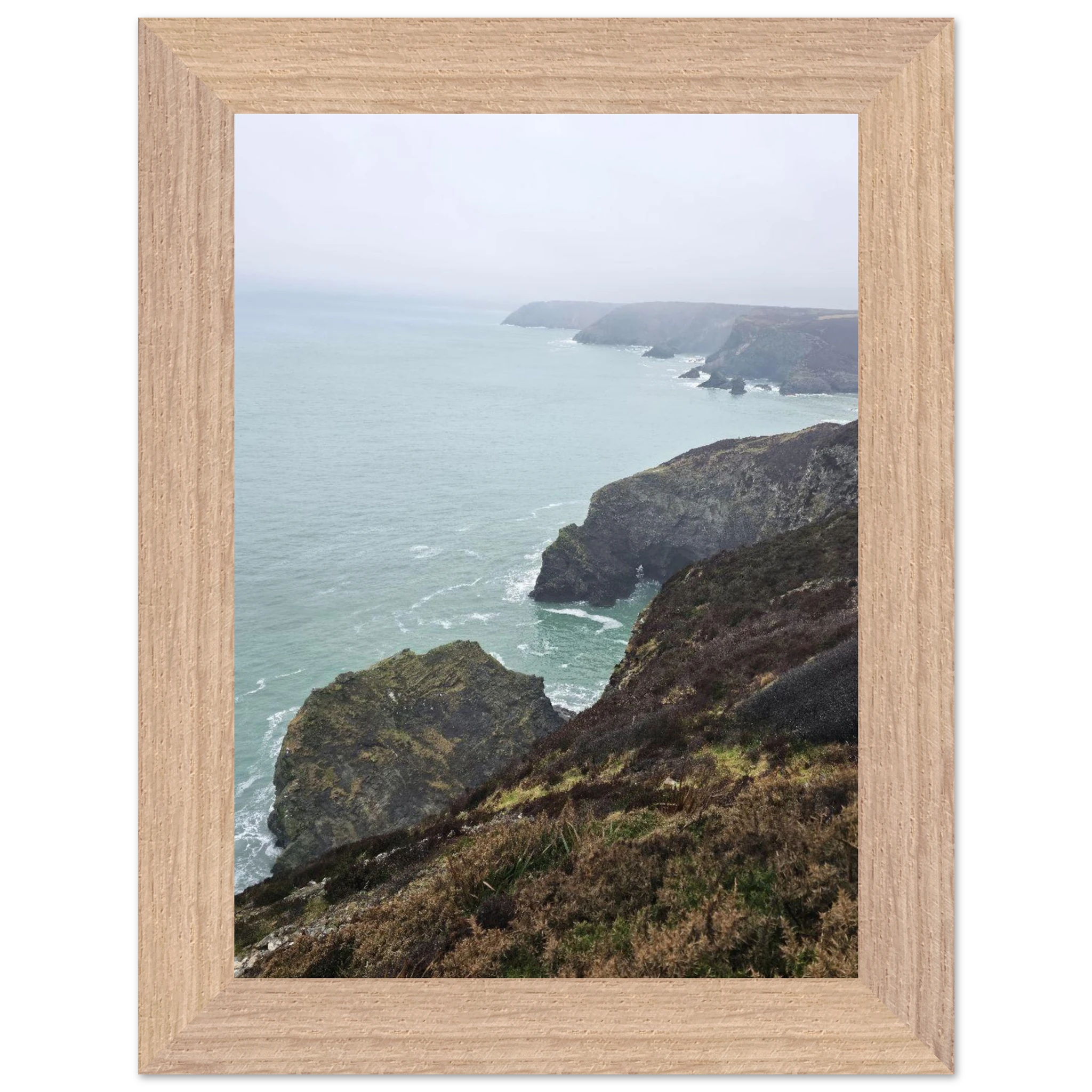 32b04831-2010-4d04-bca1-71c91c6d77d6