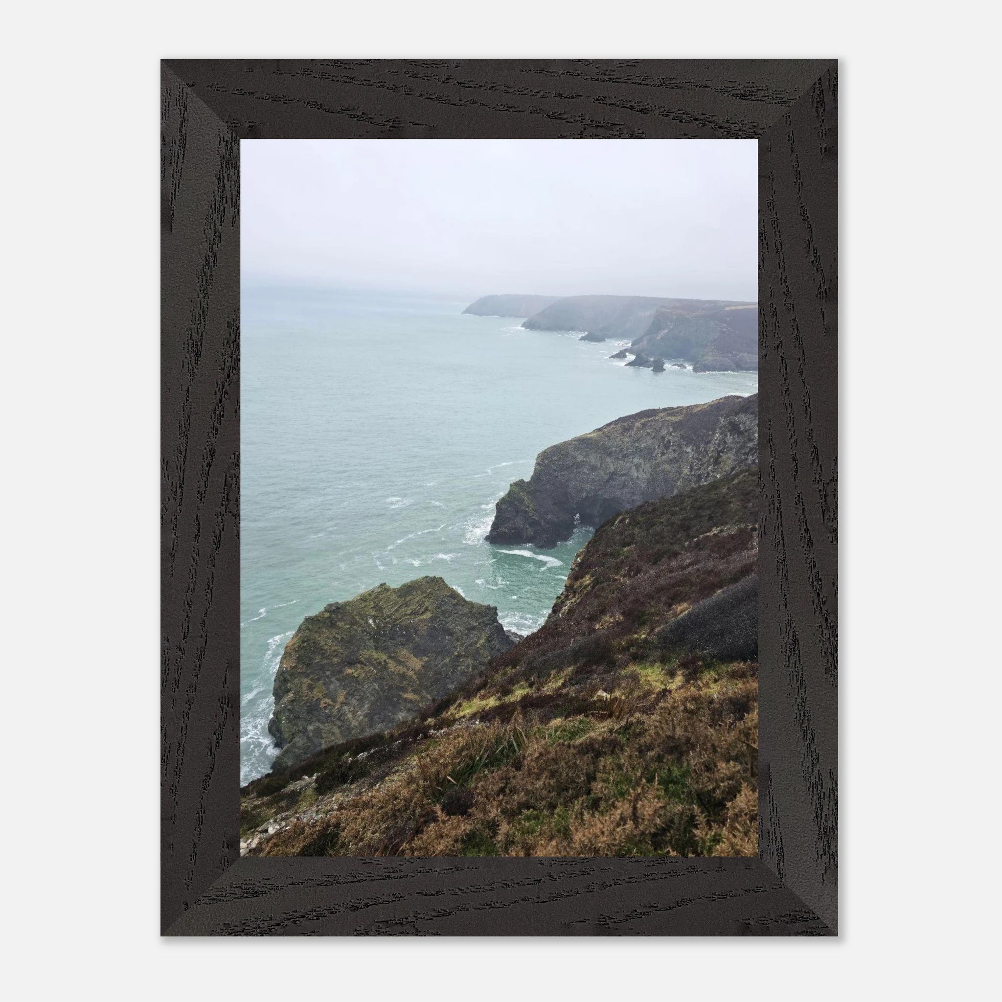 3804ba78-611d-4115-874f-eaa6d55ad557