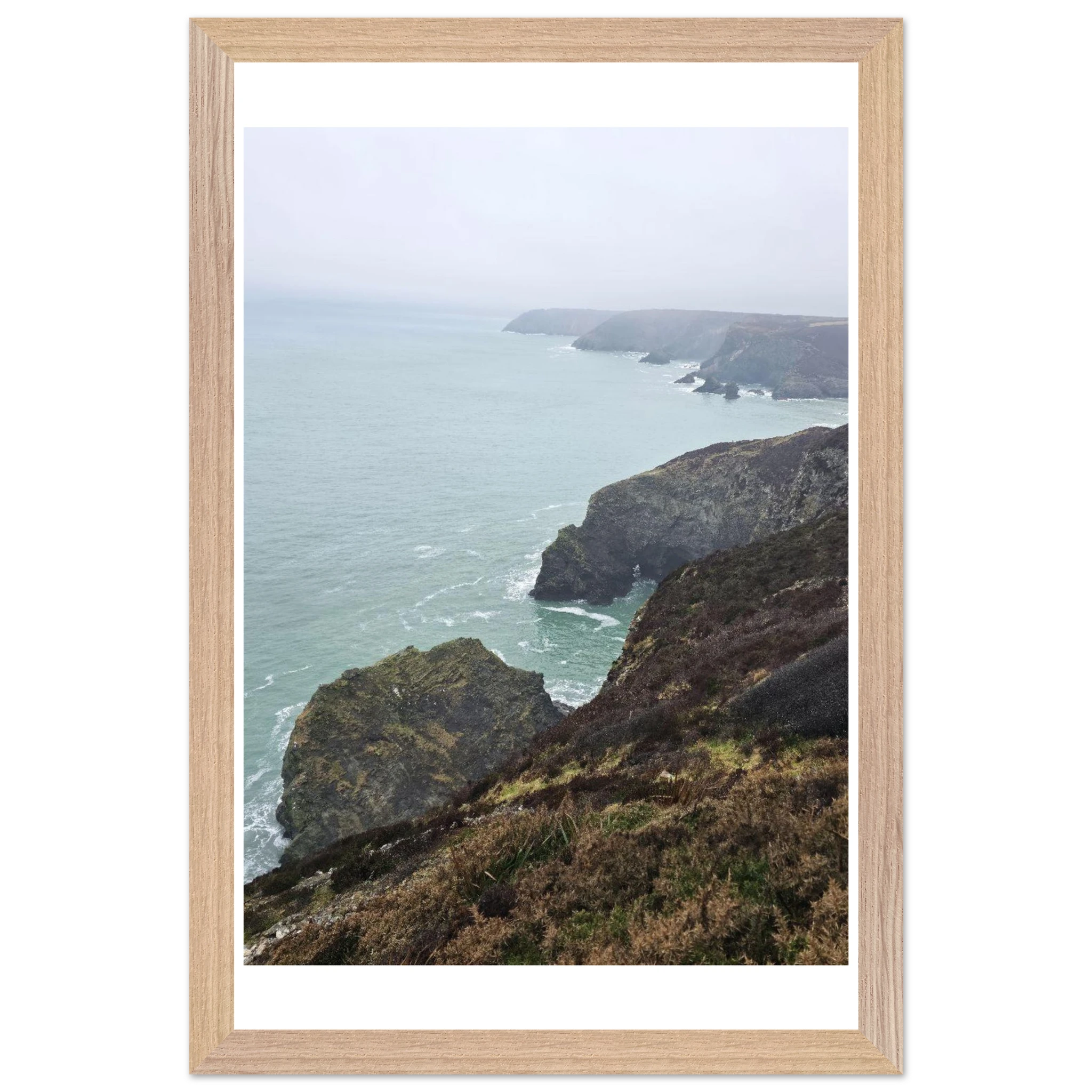 4b344a9b-d7f5-4ce1-9323-848f7c84ddcc