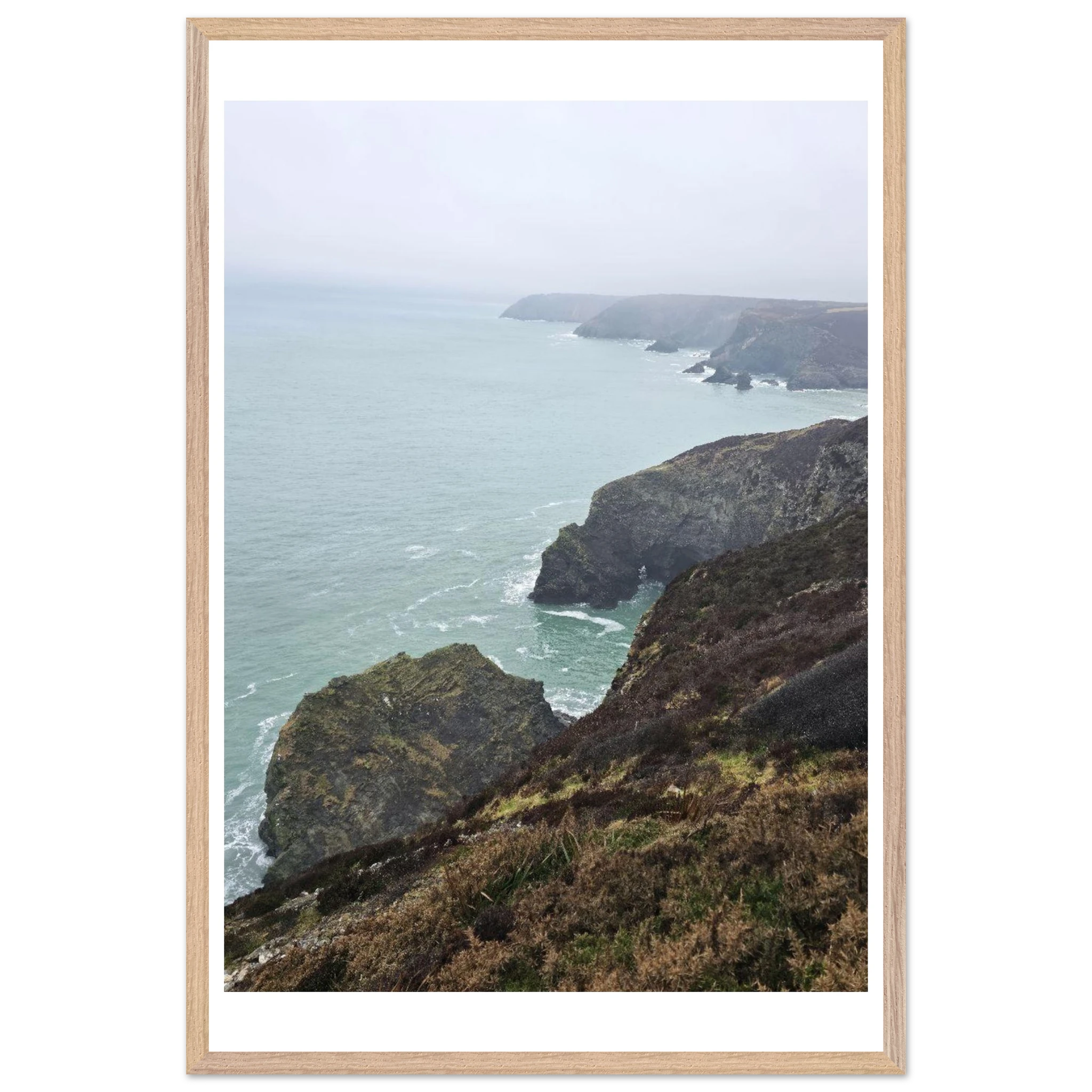 50df987a-af22-492f-bf47-80a45cf38063