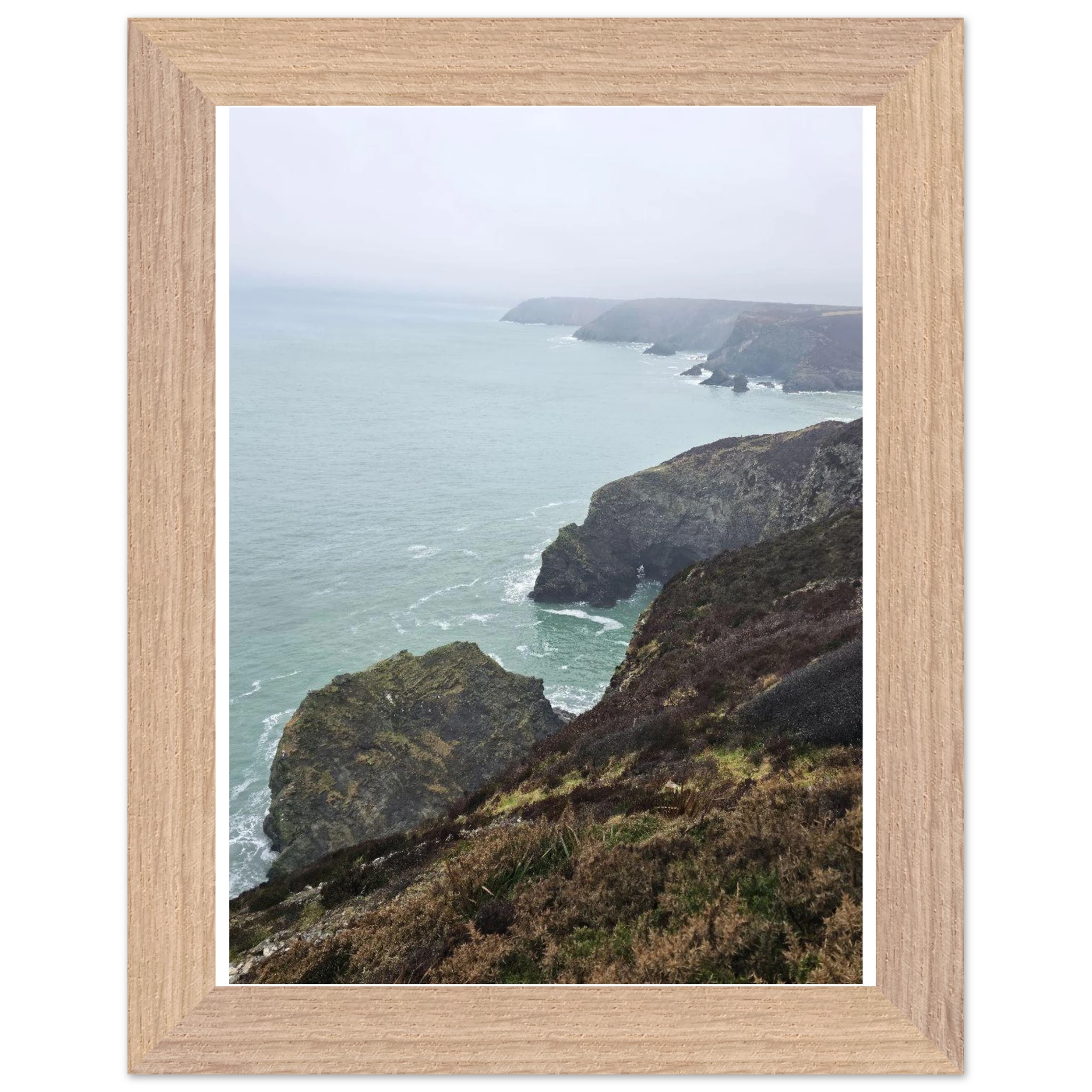 50e85d99-46a1-4db7-8068-856541f67e4b