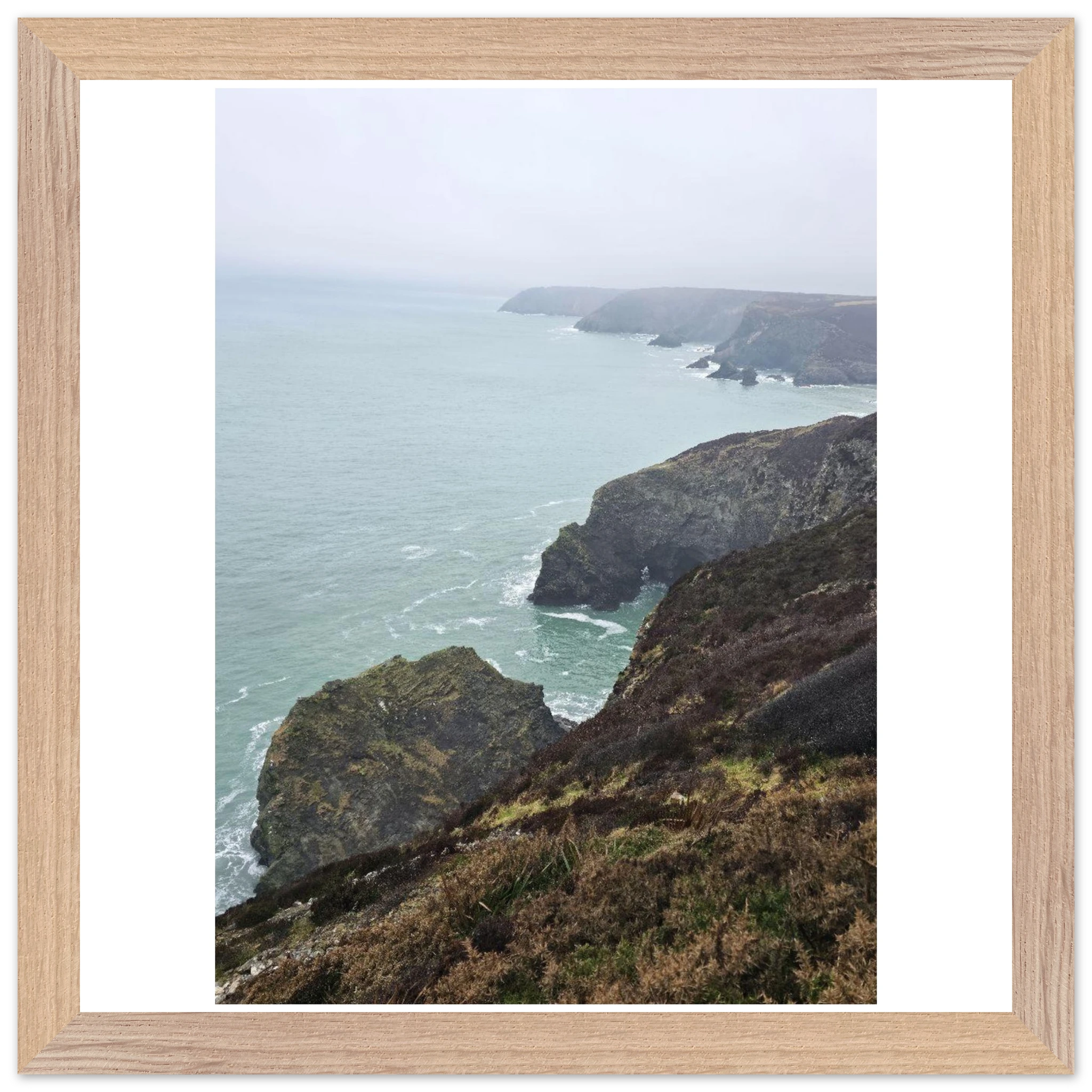 66ea4538-6dce-4fd7-86f7-b41766c484d3