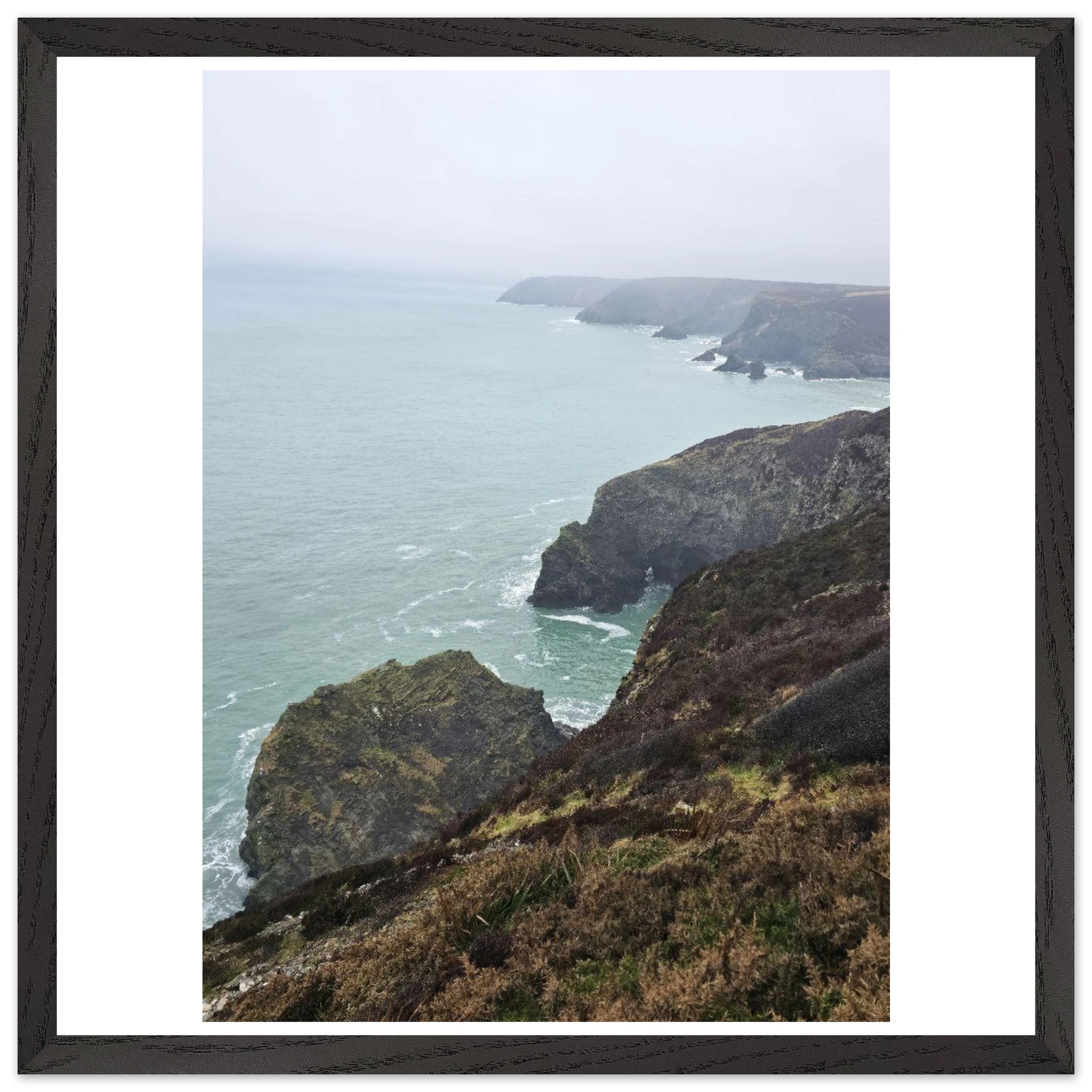 6a44a2c9-7535-4f94-878d-d16b4f3c2ff7