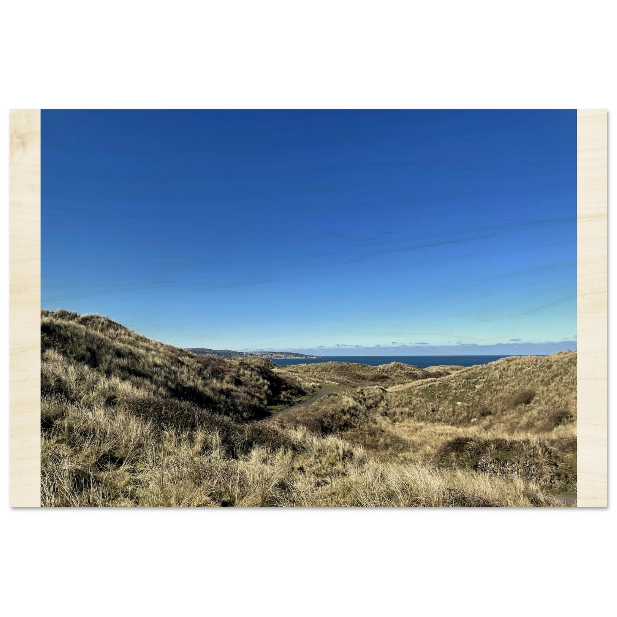 8b4f8a19-0998-4649-b3cd-7ddff834ffd5