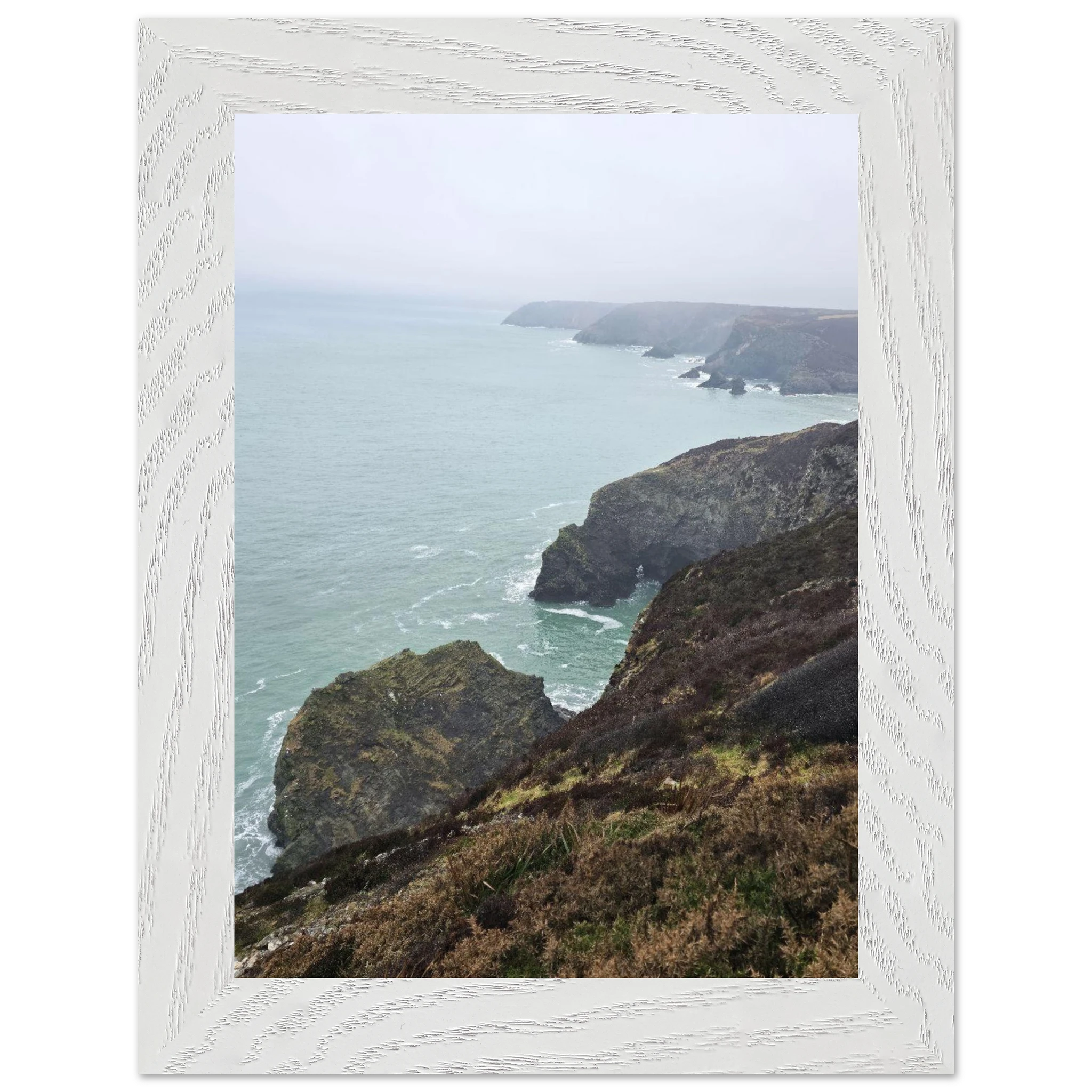 99623055-d00d-4fcc-b6ae-d843d528dce6