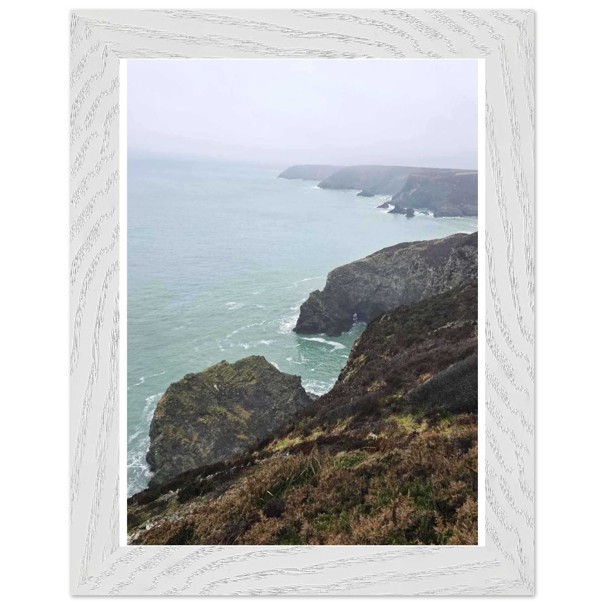 9c9bd267-0ed6-44ea-b994-d79026a60db6