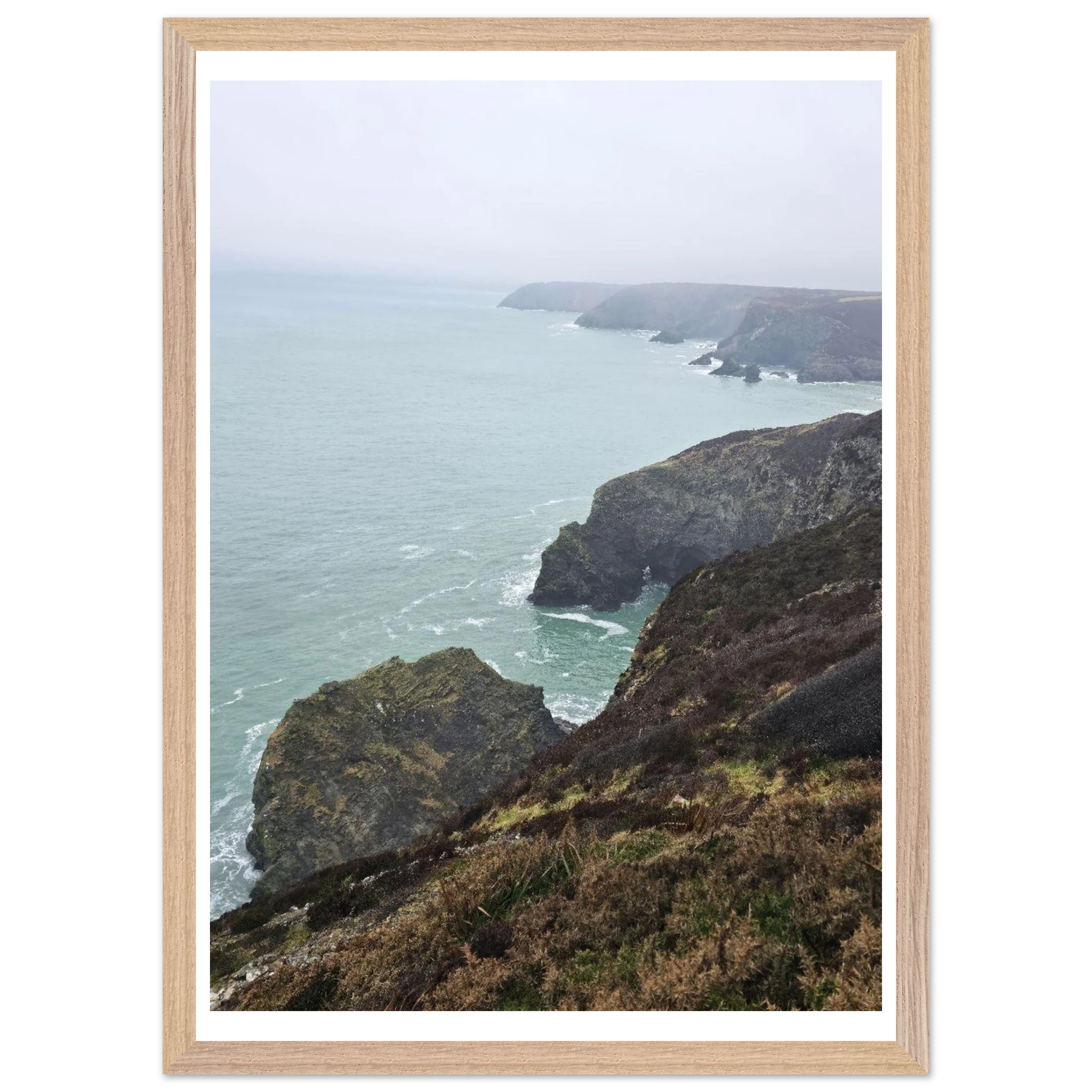 c1d4e048-031e-4cf2-829f-15e298b3fbb8