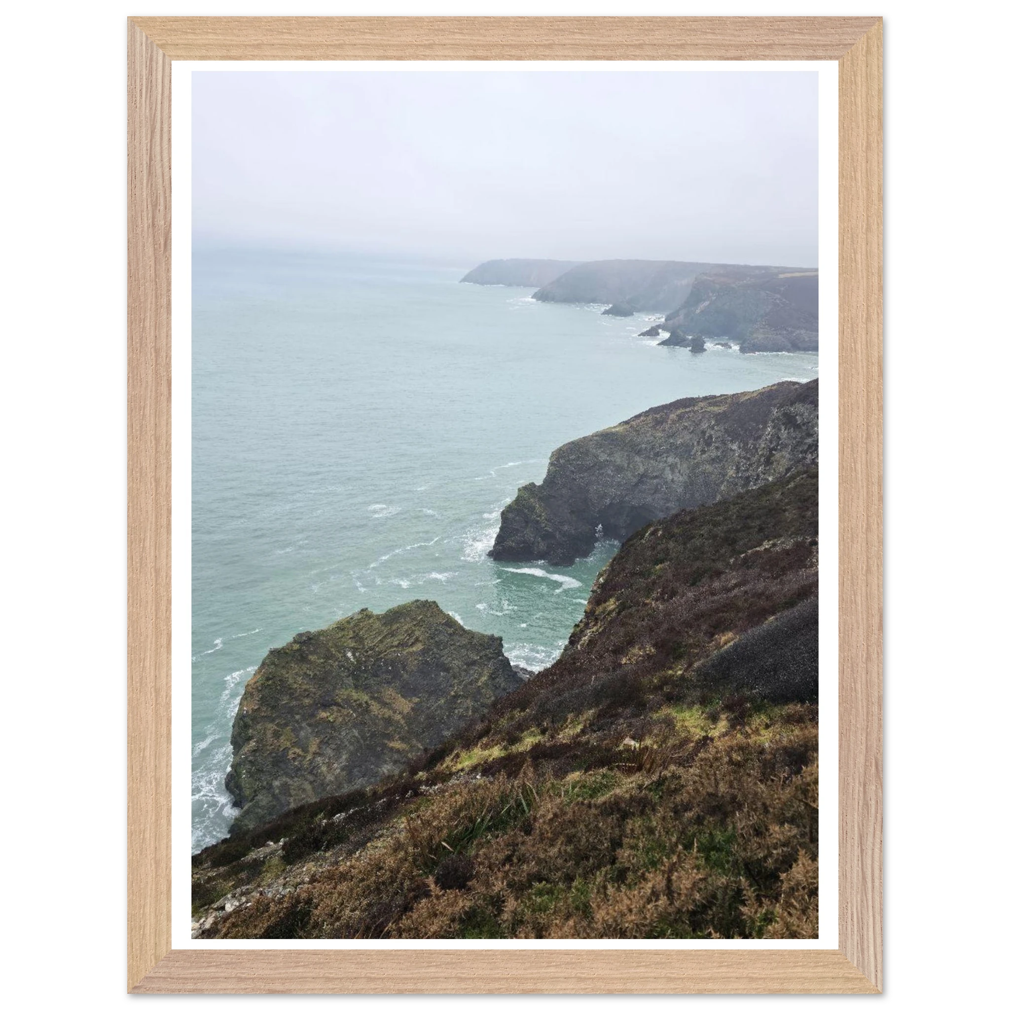 d34d70b8-53b4-43ba-83d5-cfdb9a696922