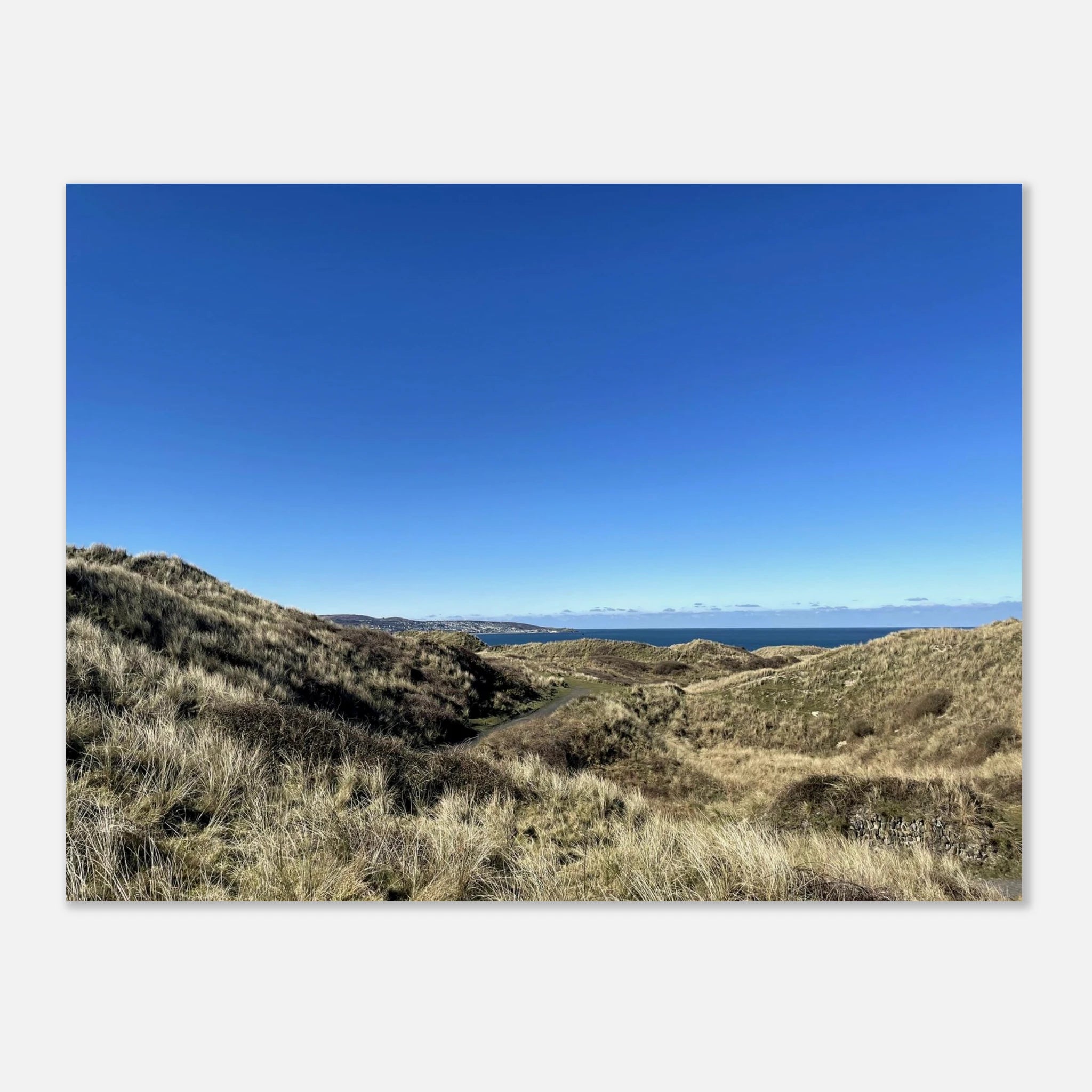 e4732285-0976-4652-84c2-f1840829dbbd