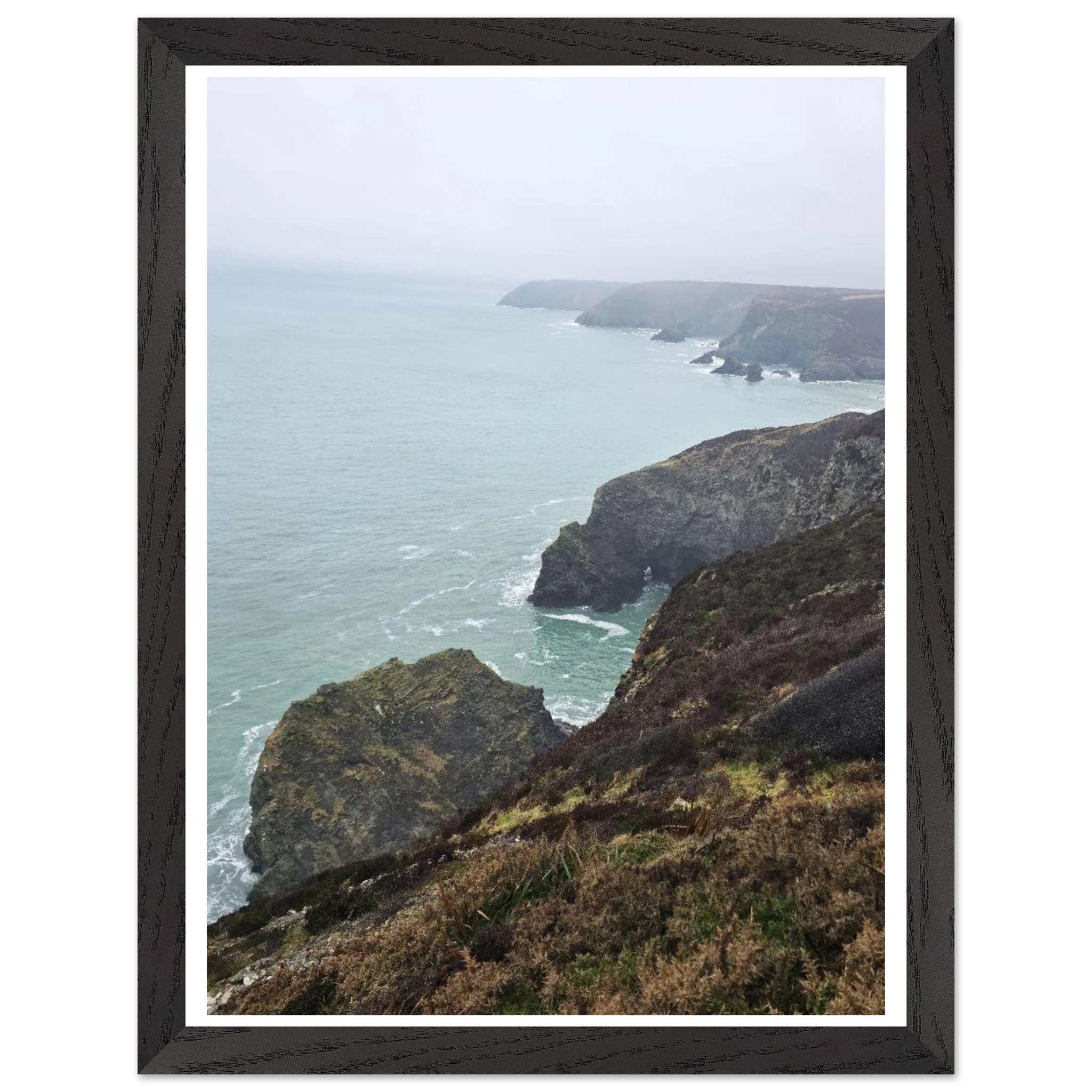 e92c5c99-9557-462a-9f03-c11fda5e818a