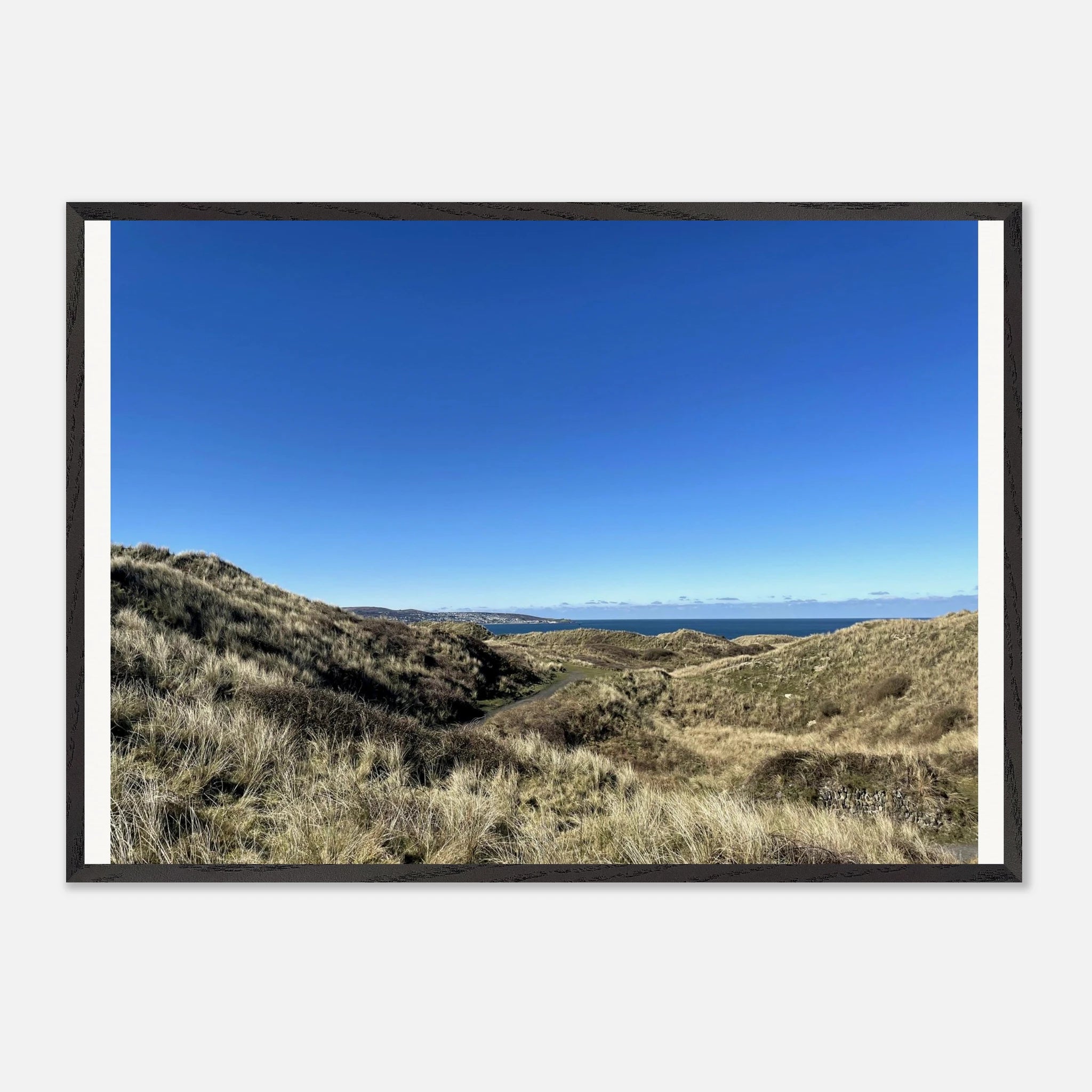 fa67f551-c1d8-4b50-a90e-0361e32eb72b