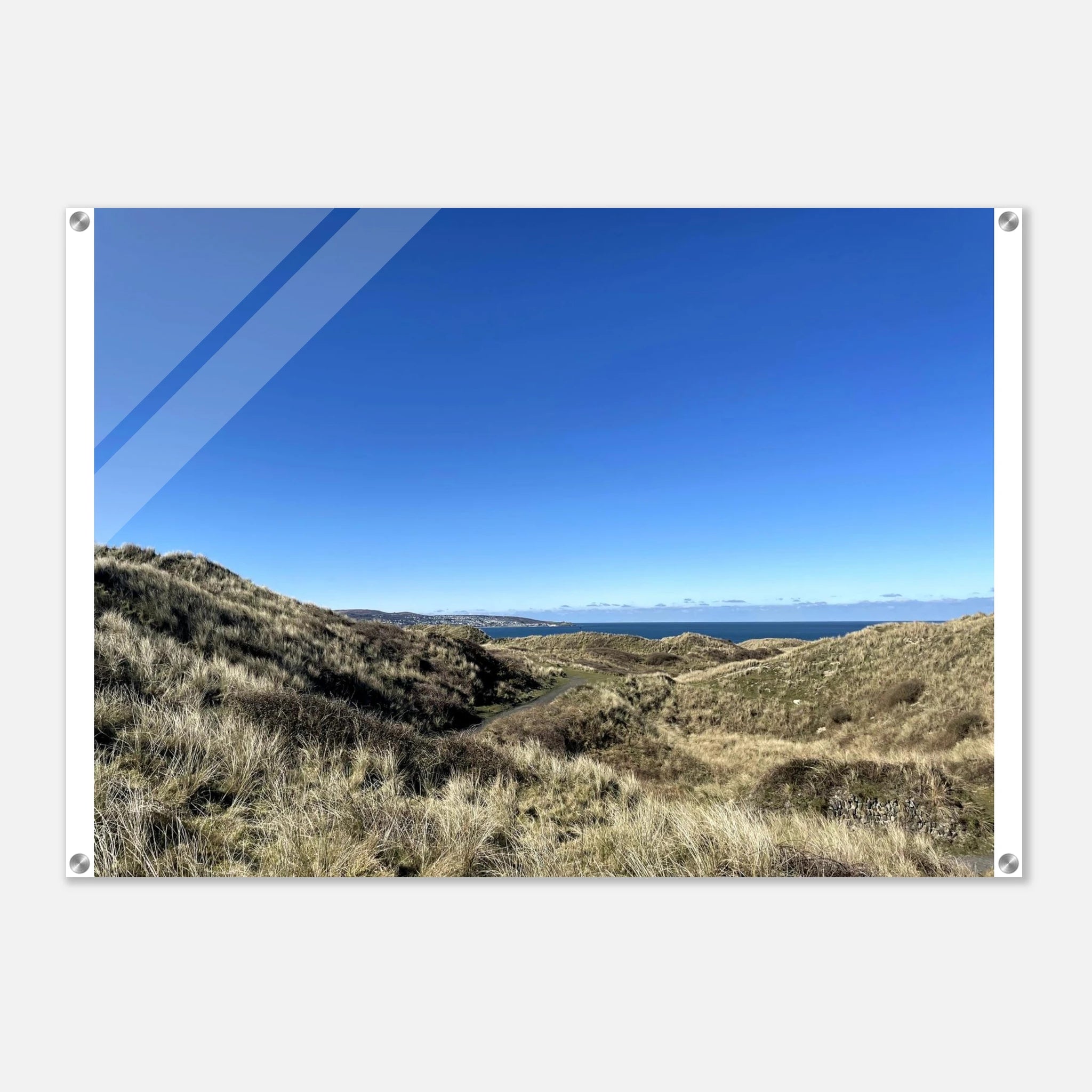 fea8ff7c-45d1-4cf7-9752-1a80c811e033